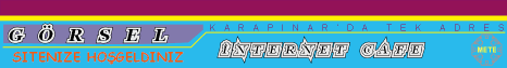 Web Banner